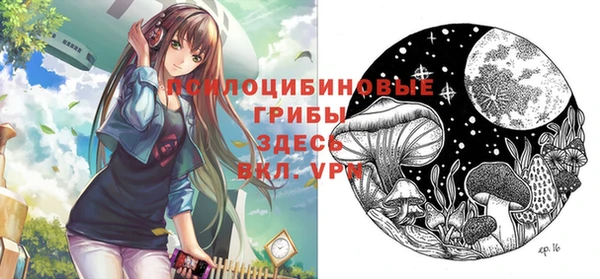 не бодяженный Новокубанск