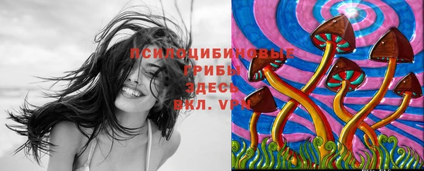 не бодяженный Новокубанск