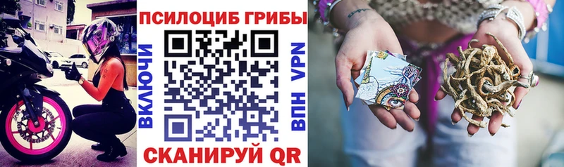 KRAKEN ссылка  Саянск  Псилоцибиновые грибы Psilocybine cubensis 
